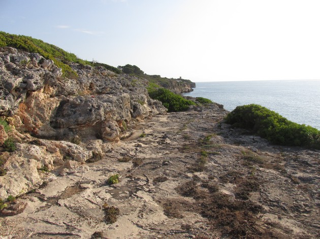 centre Cala Murta